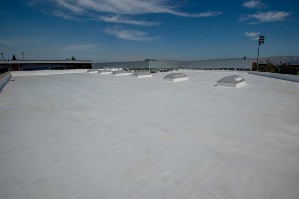 Best Roof Maintenance and Cleaning  in Remlap, AL