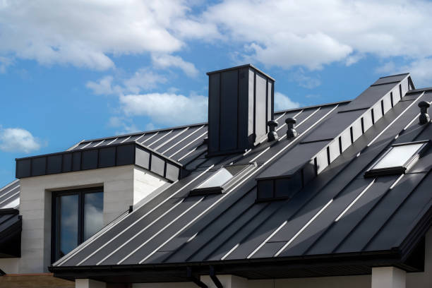 Best Skylight Installation and Repair  in Remlap, AL